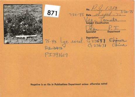 Click for 2 image(s) for this accession. Field